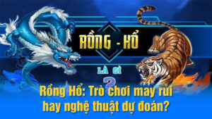 Rong Ho 01