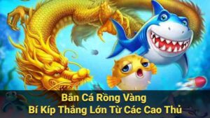 ban ca rong vang