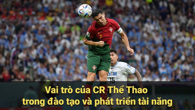 Vai trò của công nghệ trong ứng dụng Thể Thao