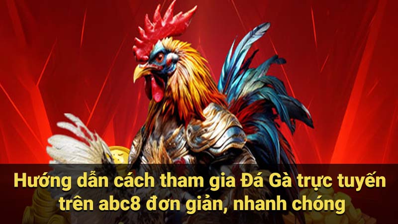 Hướng dẫn cách tham gia Đá Gà trực tuyến trên abc8 đơn giản, nhanh chóng